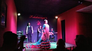 Ceļojuma dienasgrāmata. 10.diena. Flamenko Andalūzijā.