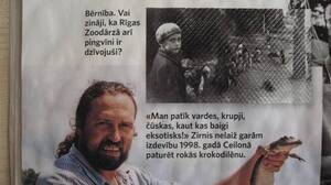 Pingvīni Rīgas ZOO