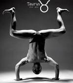 Vīrieša horoskops - Vērsis (Taurus   Apr 21 - May 21)