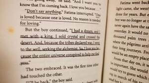 Karjeras horoskops: Lauva