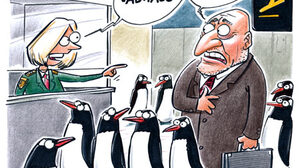 Piektdienas vērojums. Godmaņa pingvīni