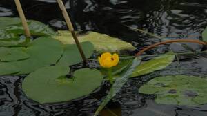 Rimtās atpūtas cienītājiem