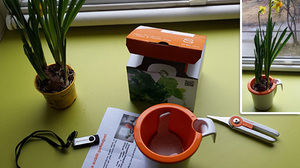 Pavasaris uz palodzes